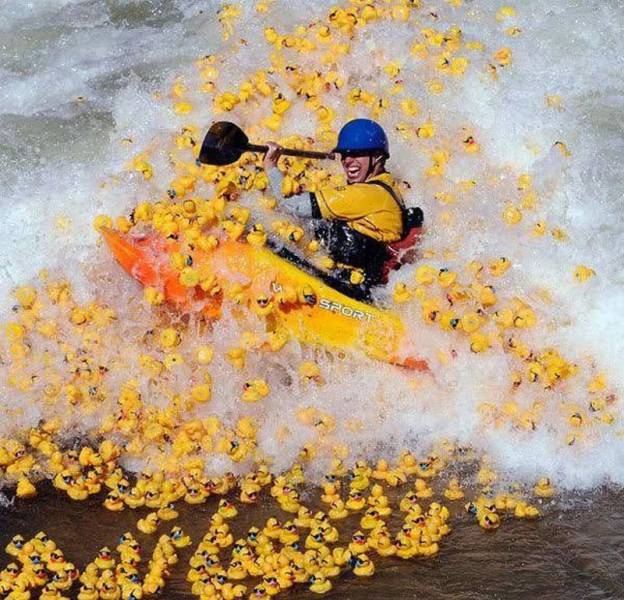 daily picdump 99 pics 21.html - 99 HD Photos | Premium Gallery 2016