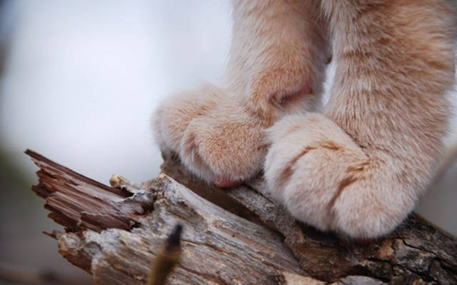 Fascinating Photos That Speak For Themselves
