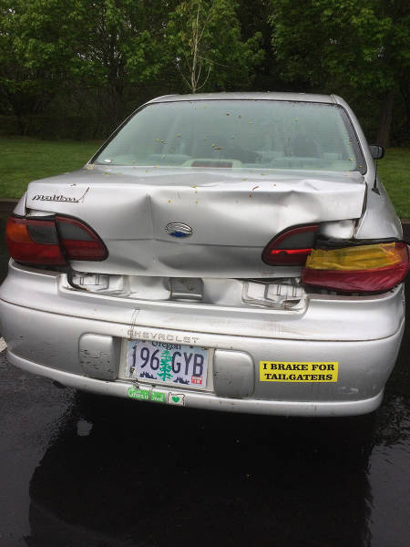 morning picdump 53 pics 19.html - 53 HD Photos | Premium Gallery 2016