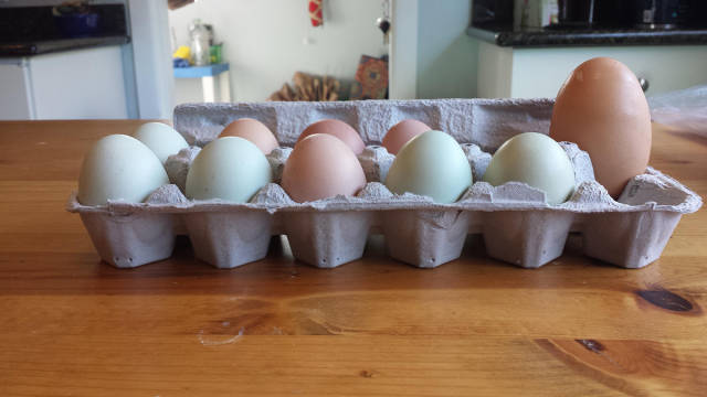 morning picdump 53 pics 19.html - 53 HD Photos | Premium Gallery 2016