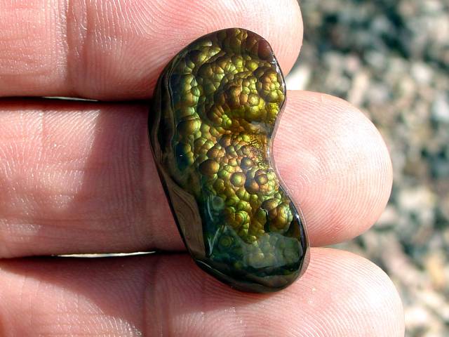 morning picdump 53 pics 19.html - 53 HD Photos | Premium Gallery 2016