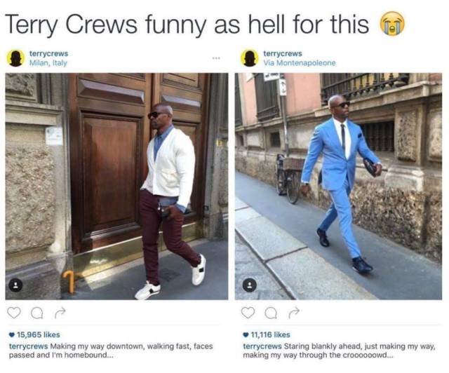 Hilarious Memes That Will Make Your Day
