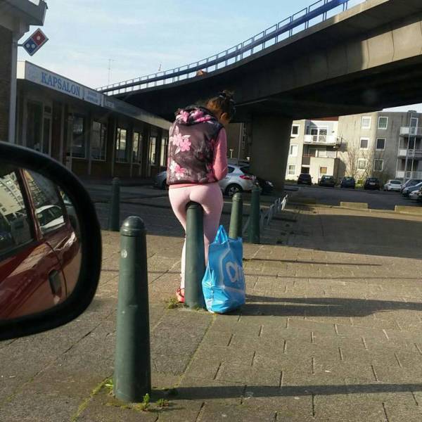 Morning Picdump