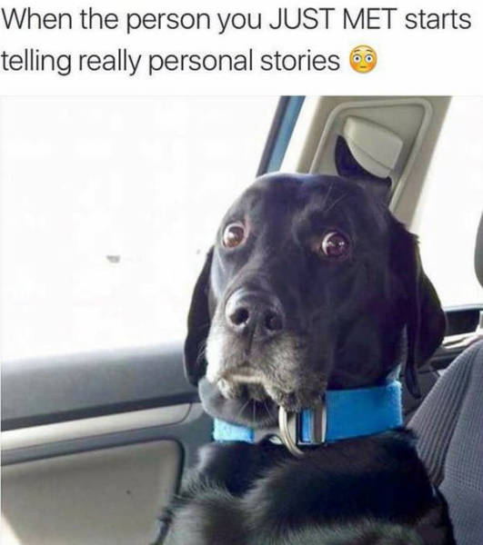 Funny Picdump