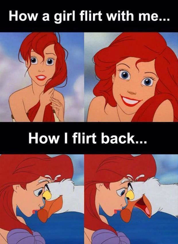 Funny Picdump