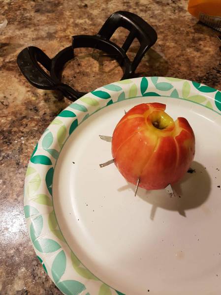 morning picdump 55 pics 6.html - 55 HD Photos | Premium Gallery 2016