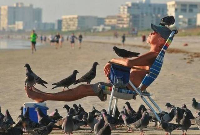 Daily Picdump
