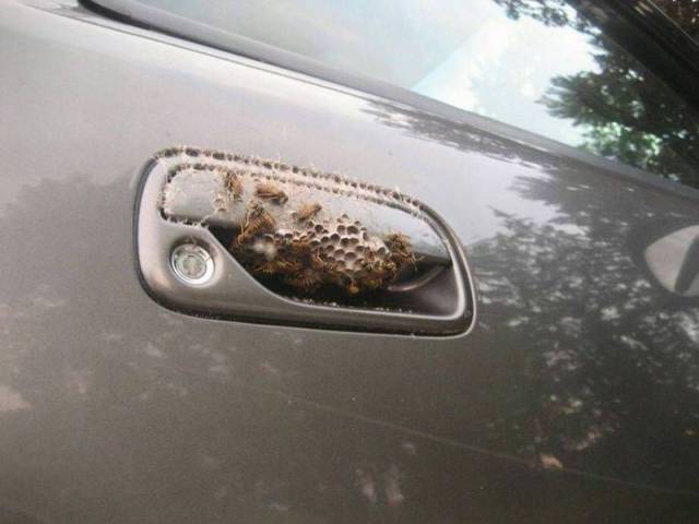 Daily Picdump