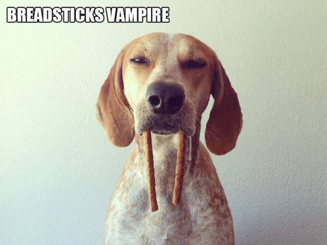 Daily Picdump