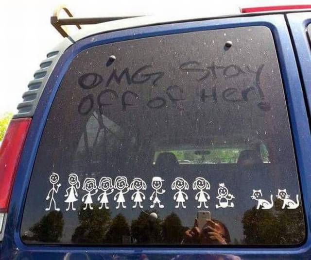 Daily Picdump
