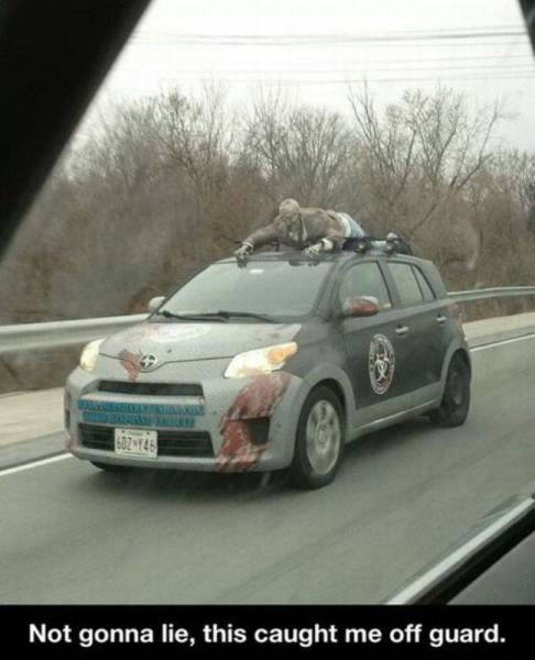 Daily Picdump