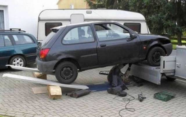 Daily Picdump