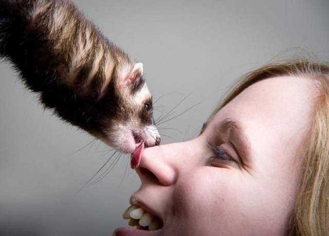 Daily Picdump