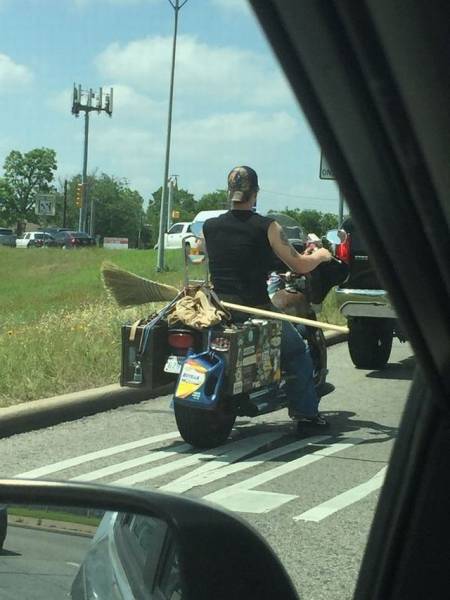 Daily Picdump