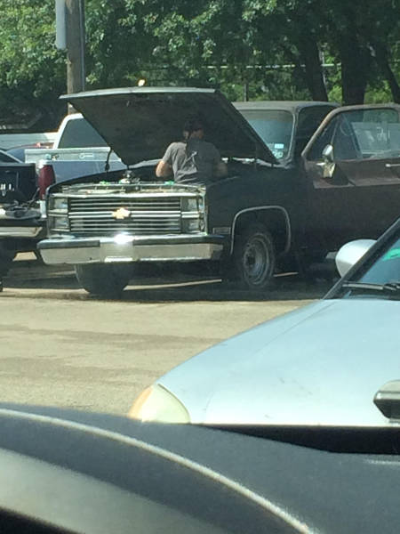 funny picdump 53 pics 8.html - 53 HD Photos | Premium Gallery 2016