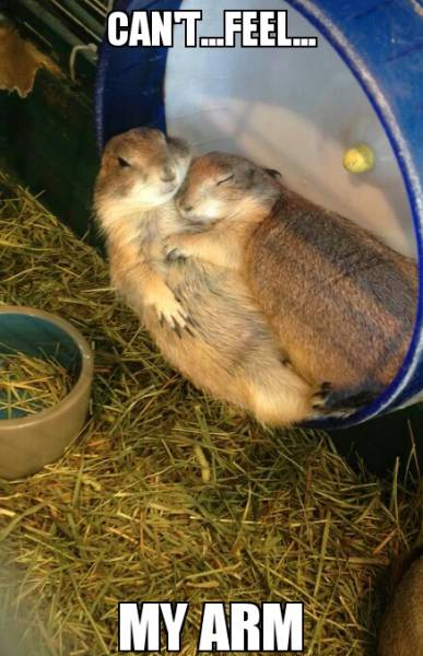 funny picdump 53 pics 8.html - 53 HD Photos | Premium Gallery 2016