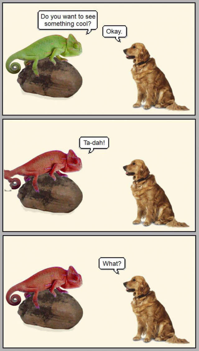 Funny Picdump