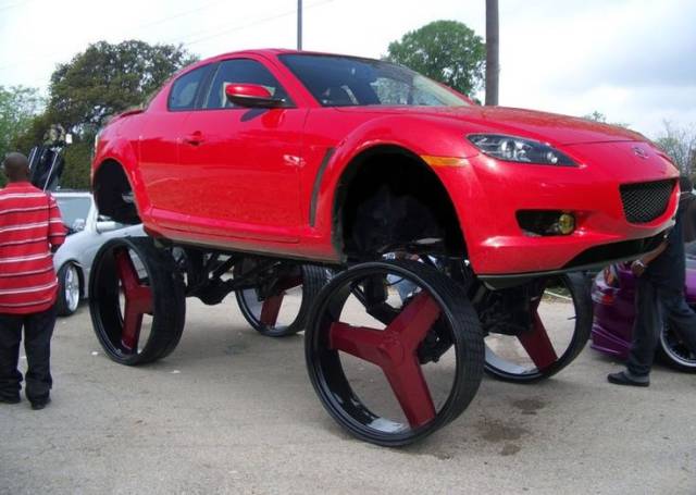 Morning Picdump