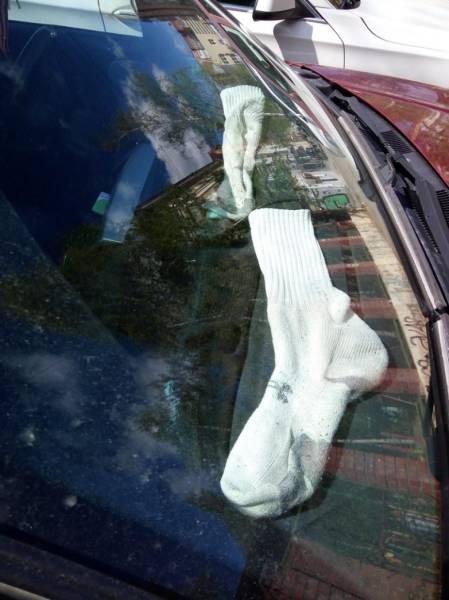 morning picdump 50 pics 19.html - 50 HD Photos | Premium Gallery 2016