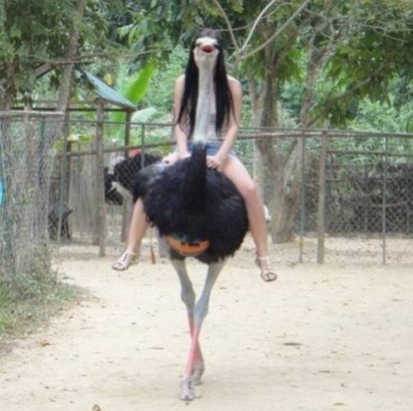Morning Picdump
