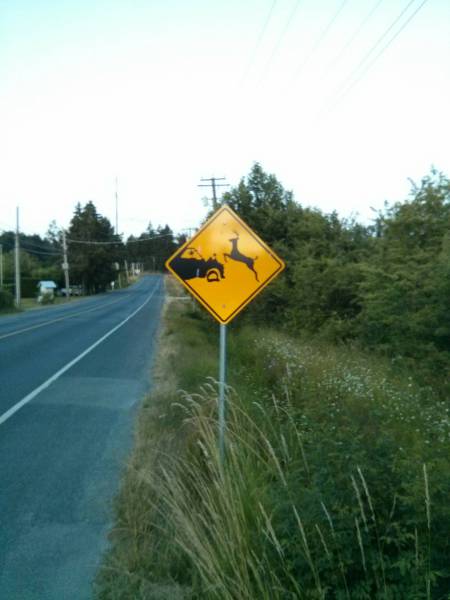 morning picdump 53 pics 23.html - 53 HD Photos | Premium Gallery 2016