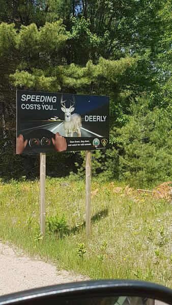 morning picdump 52 pics 19.html - 52 HD Photos | Premium Gallery 2016