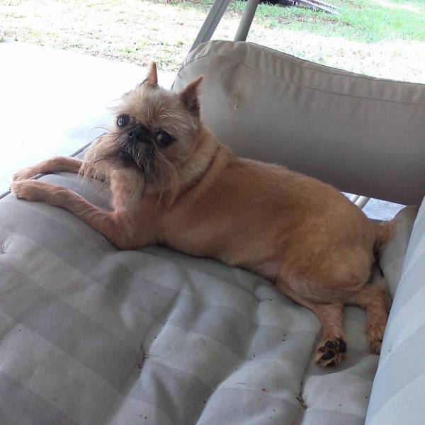 morning picdump 52 pics 19.html - 52 HD Photos | Premium Gallery 2016