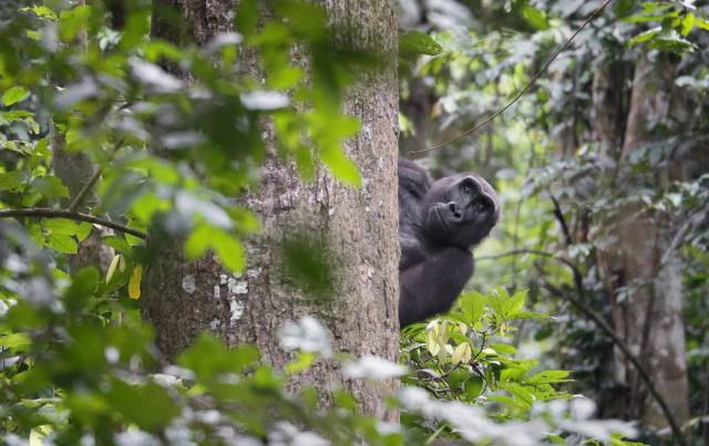 morning picdump 52 pics 19.html - 52 HD Photos | Premium Gallery 2016