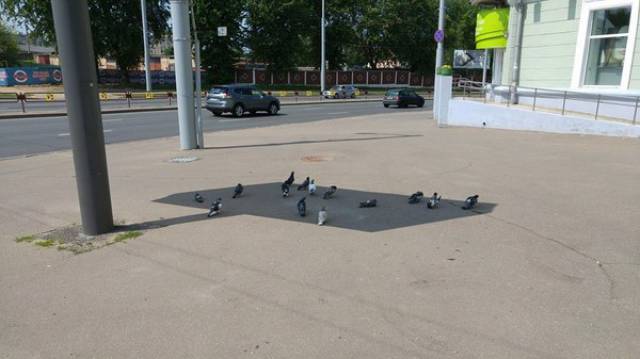 Morning Picdump