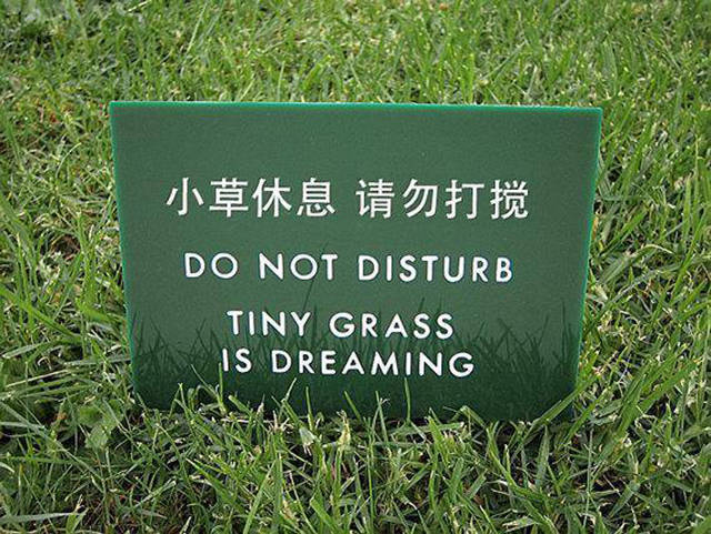 Funny Yard Signs That Are Impossible Not To Notice