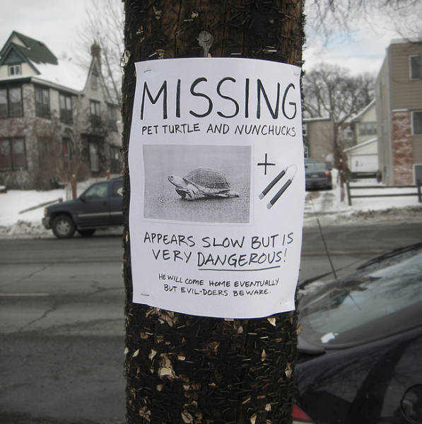 Funny Yard Signs That Are Impossible Not To Notice
