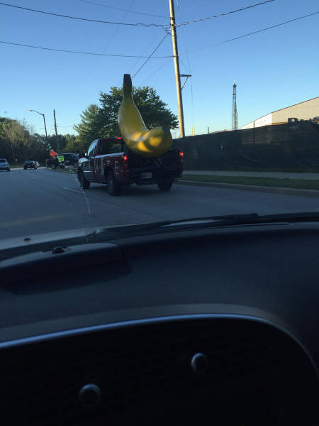 Morning Picdump