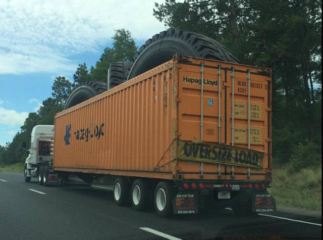 Morning Picdump