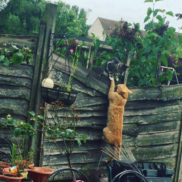morning picdump 50 pics 8.html - 50 HD Photos | Premium Gallery 2016