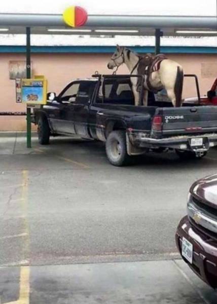morning picdump 50 pics 8.html - 50 HD Photos | Premium Gallery 2016