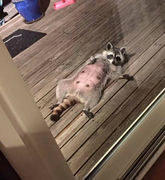 morning picdump 50 pics 8.html - 50 HD Photos | Premium Gallery 2016