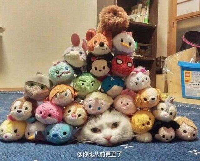 Daily Picdump