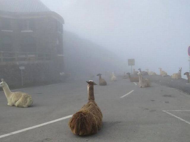 Daily Picdump