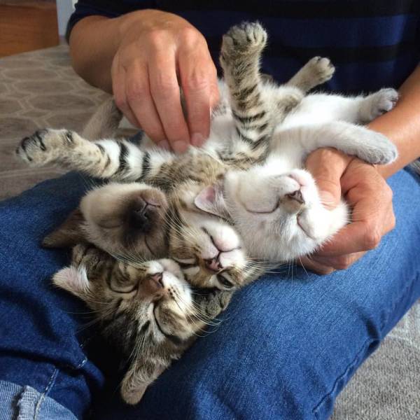 Daily Picdump