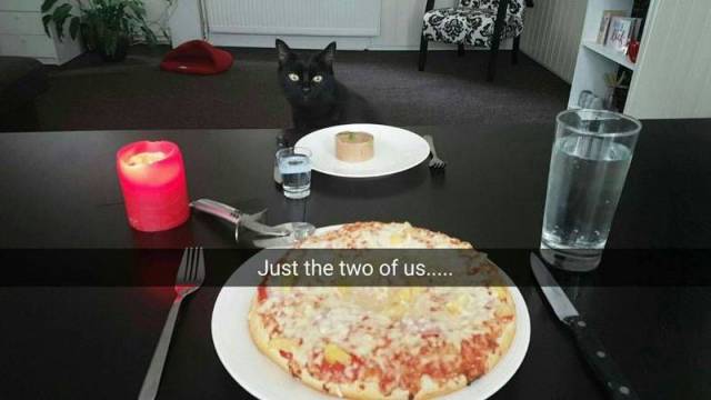 daily picdump 101 pics 41.html - 101 HD Photos | Premium Gallery 2016