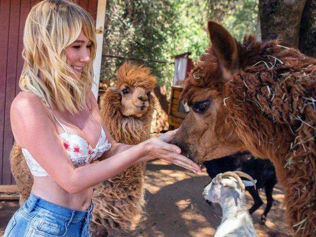 daily picdump 101 pics 41.html - 101 HD Photos | Premium Gallery 2016