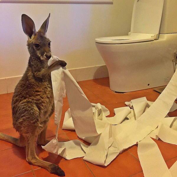 daily picdump 101 pics 41.html - 101 HD Photos | Premium Gallery 2016