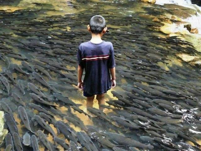 daily picdump 101 pics 41.html - 101 HD Photos | Premium Gallery 2016