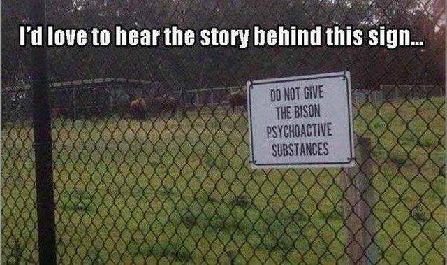 daily picdump 101 pics 41.html - 101 HD Photos | Premium Gallery 2016