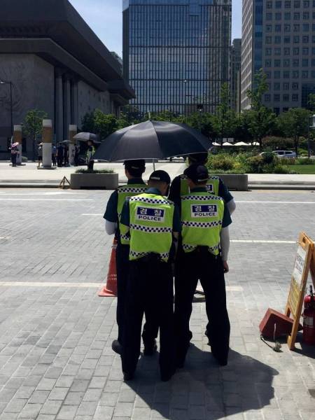 daily picdump 101 pics 41.html - 101 HD Photos | Premium Gallery 2016