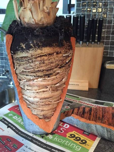 daily picdump 101 pics 41.html - 101 HD Photos | Premium Gallery 2016