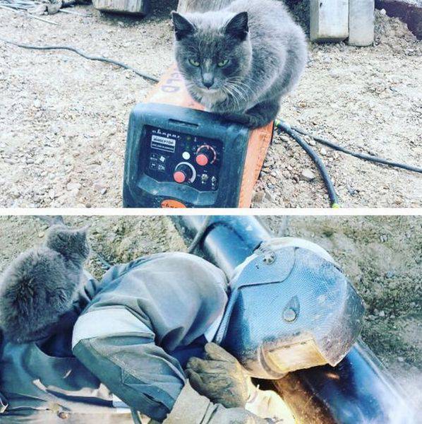 daily picdump 101 pics 41.html - 101 HD Photos | Premium Gallery 2016