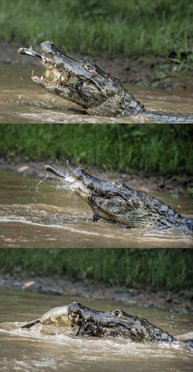 daily picdump 101 pics 41.html - 101 HD Photos | Premium Gallery 2016