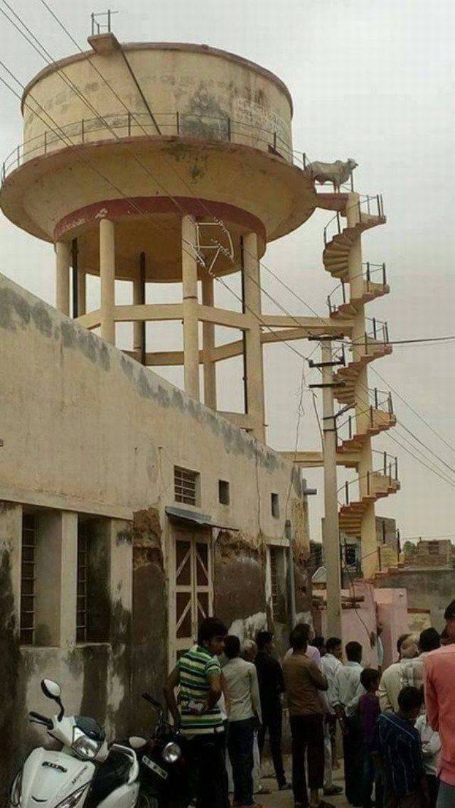 daily picdump 101 pics 41.html - 101 HD Photos | Premium Gallery 2016