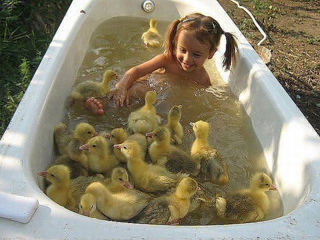 daily picdump 99 pics 23.html - 99 HD Photos | Premium Gallery 2016